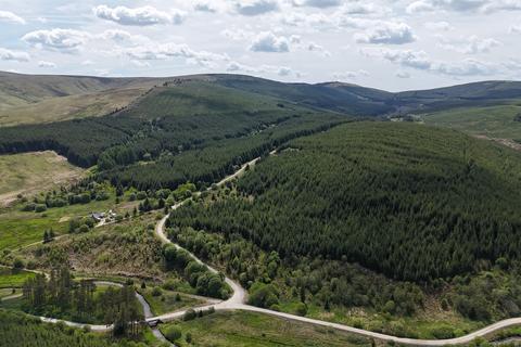 Hawick TD9 Woodland for sale
