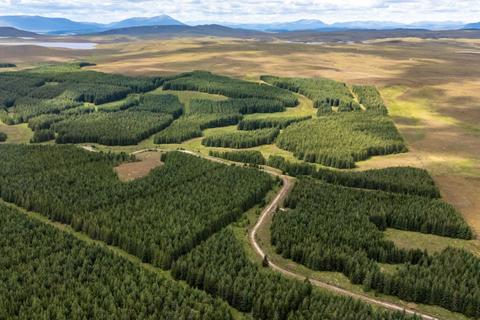 Mackay a Tuath Forest, Forsinard KW13 Woodland for sale