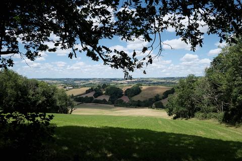 Cheriton Fitzpaine, Crediton EX17 Woodland for sale