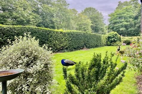 1 bedroom retirement property for sale