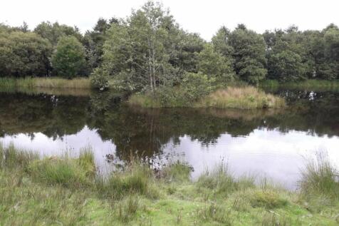 Cellan, Lampeter, SA48 Farm land for sale