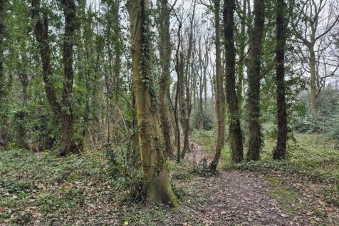 Woodland at Ashover Road, Old Tupton... Land for sale