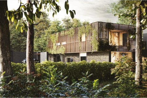 Plot for sale