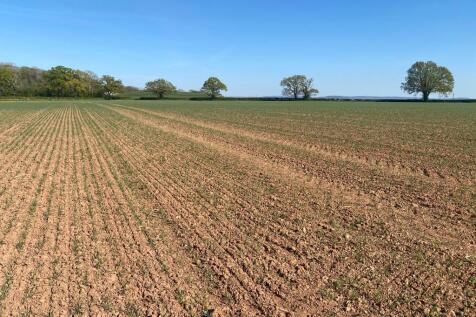 Farm land for sale
