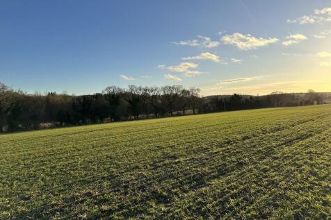 Farm land for sale