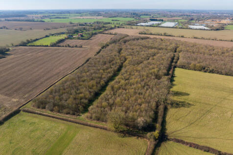 Farm land for sale