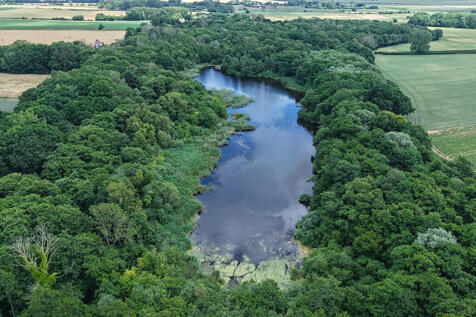 Farm land for sale