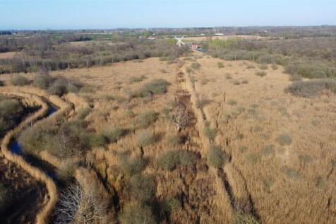 Woodland, Reedbed & Fen, Barton Turf Land for sale