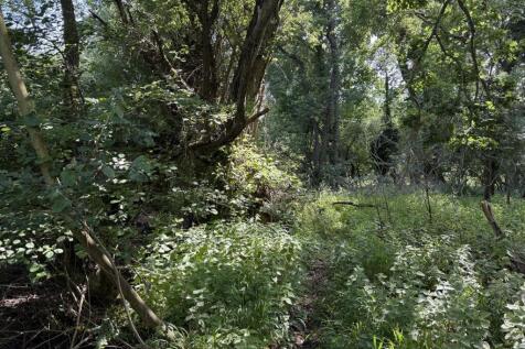 Woodland & Fen at East Harling Land for sale