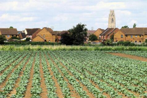 Plot for sale