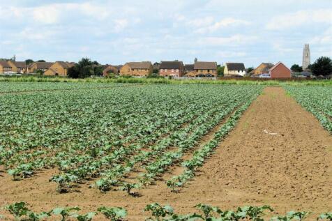 Plot for sale