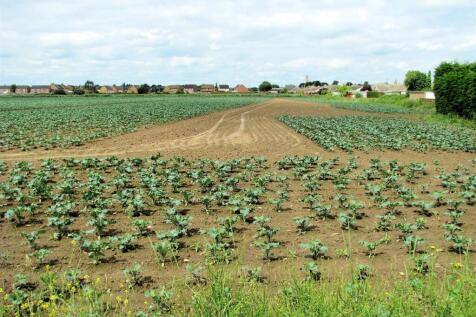 Plot for sale