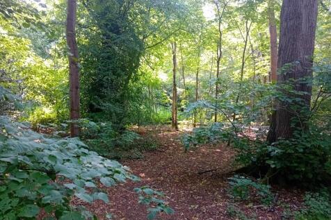 Simons Wood, Wokingham, RG41 Land for sale