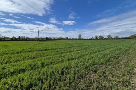 Off Ledicott Lane, Kingsland... Farm land for sale