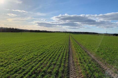 Farm land for sale