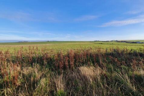 Plot for sale