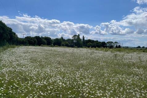 Farm land for sale