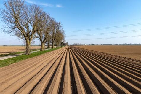 Marsh Road, Spalding Marsh, Spalding... Land for sale