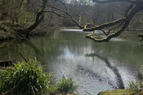 Brokes Wood Lake, Powder Mill Lane... Land for sale