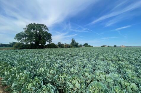 Farm land for sale