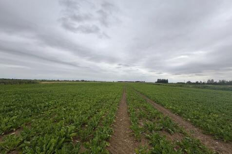 Farm land for sale