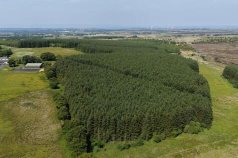 Ardochrig Wood, Strathaven G75 Woodland for sale