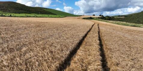 Farm land for sale