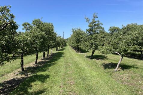Hambridge, Langport Land for sale