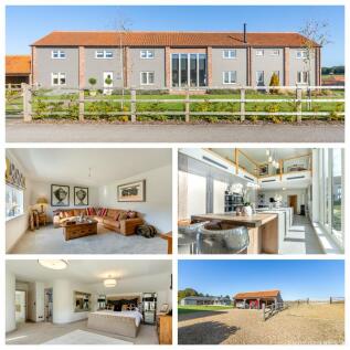 Equestrian facility for sale