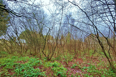 Middle Lane, Headley Heath, Kings Norton Land for sale