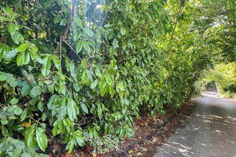 Land for sale
