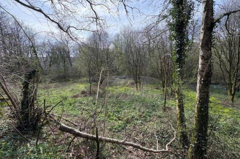 Farm land for sale