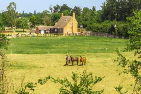 Great North Road, Southoe, St. Neots... 4 bed equestrian property for sale