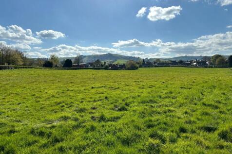 Equestrian facility for sale