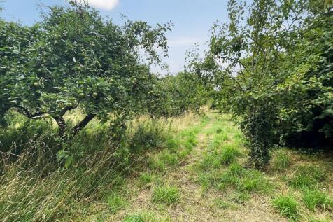 Small Way Lane, Galhampton, Castle... Farm land for sale