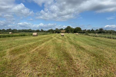 Farm land for sale