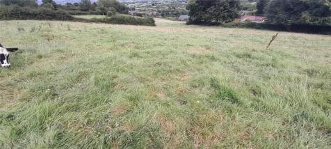 Equestrian facility for sale