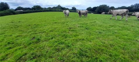 Equestrian facility for sale