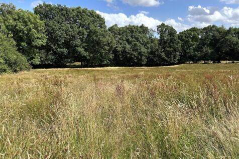 East Worlington, Crediton, Devon, EX17 Land for sale