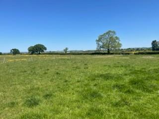 Plot for sale