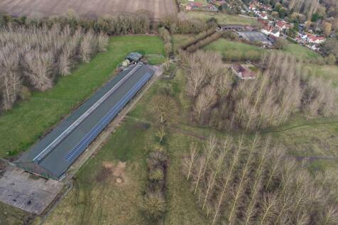 High Road, Needham, Harleston, Norfolk 3 bed property with land for sale
