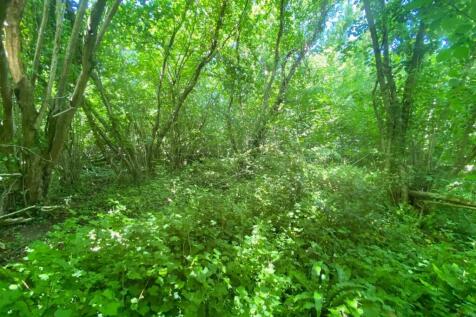 New Street Lane Loders, Bridport Land for sale